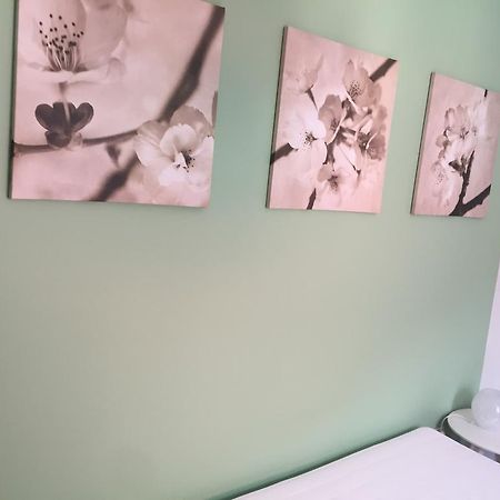 Apartment Mt 博维茨 外观 照片